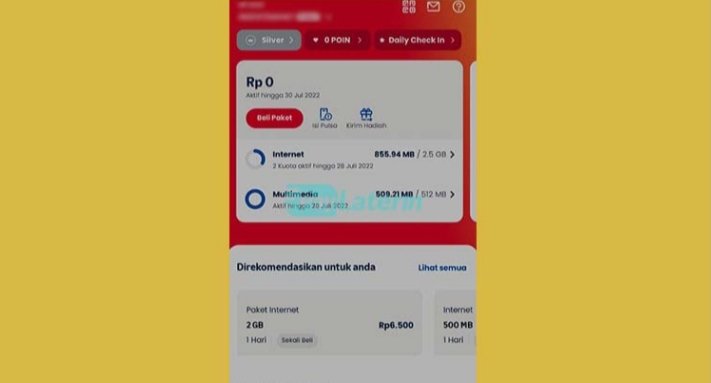 Apa itu Telkomsel Paylater?